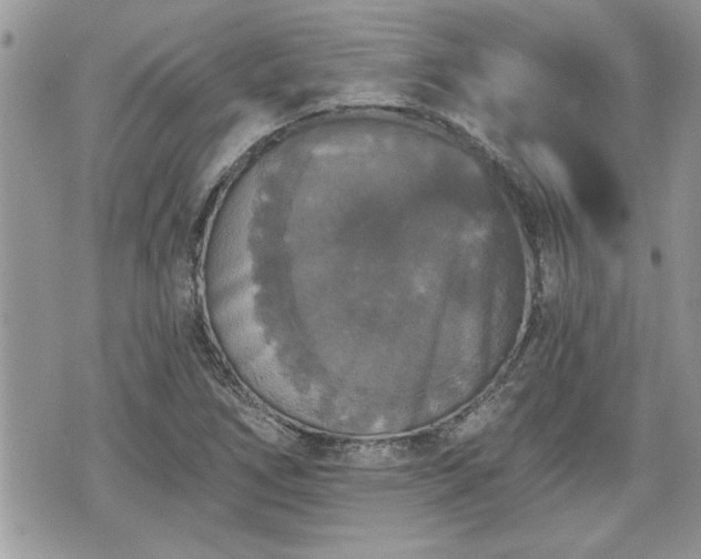 X0000070401266200606161336