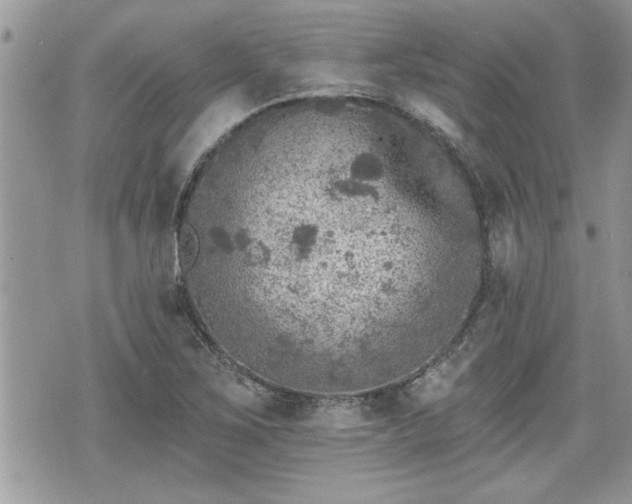 X0000070401267200606161336