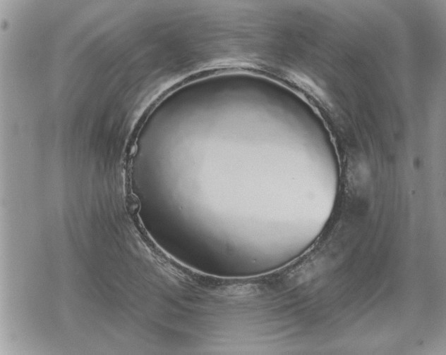 X0000070401268200606161336