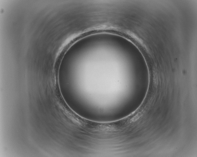 X0000070401270200606161336