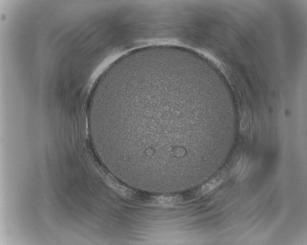 X0000070401271200606161336