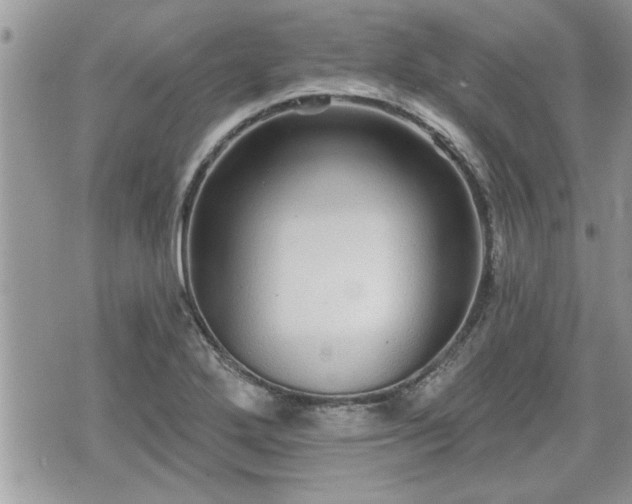 X0000070401272200606161336