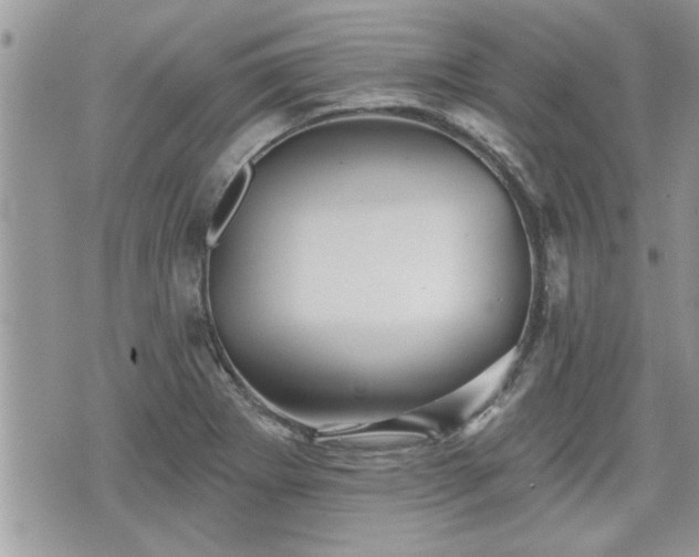 X0000070401273200606161336