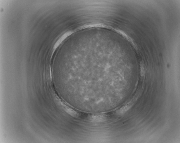 X0000070401274200606161336