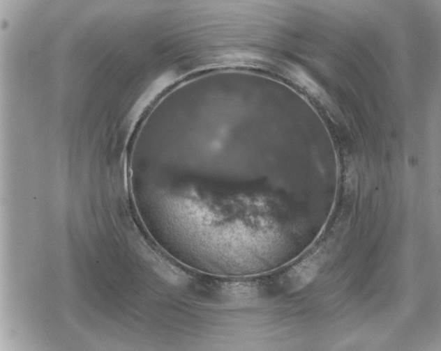 X0000070401275200606161336