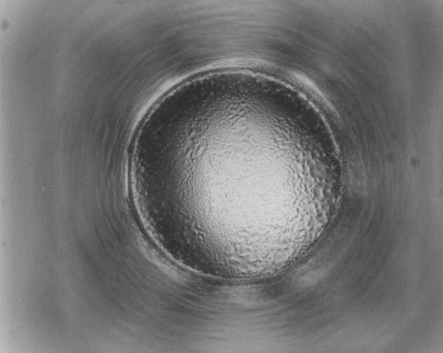 X0000070401276200606161336