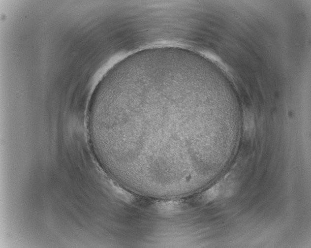 X0000070401278200606161336