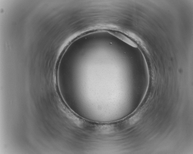 X0000070401280200606161336