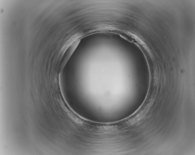 X0000070401281200606161336