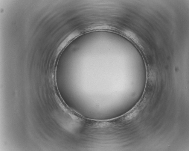 X0000070401282200606161336