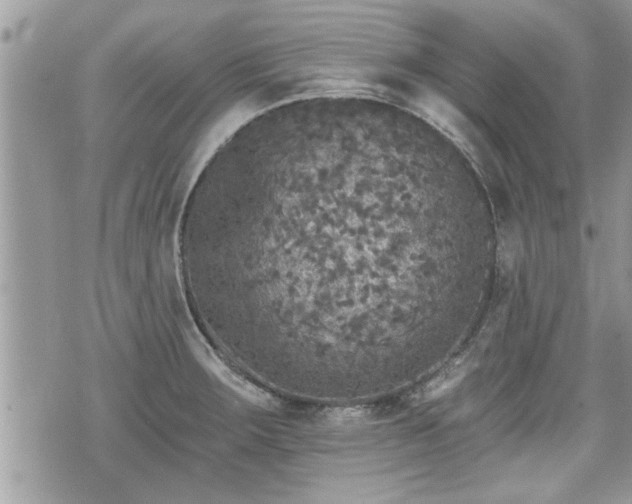 X0000070401283200606161336