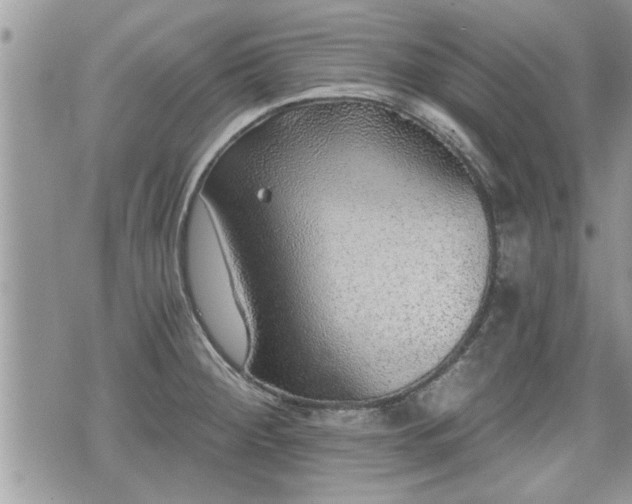 X0000070401284200606161336