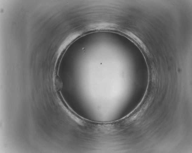 X0000070401285200606161336