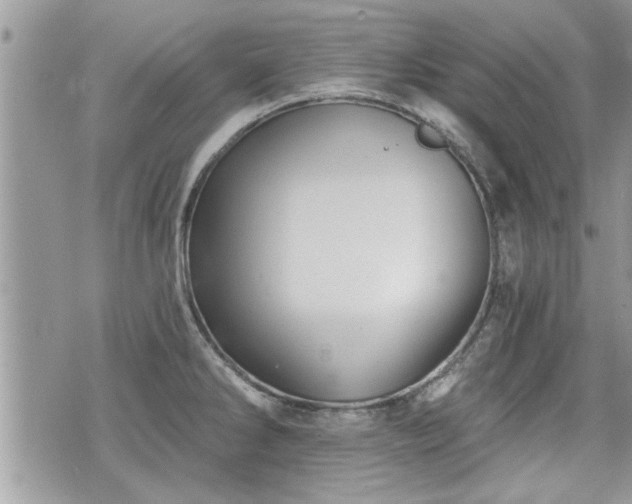 X0000070401286200606161336