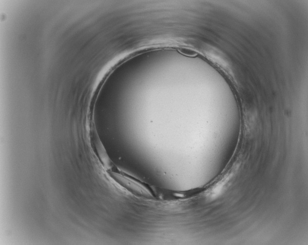 X0000070401288200606161336