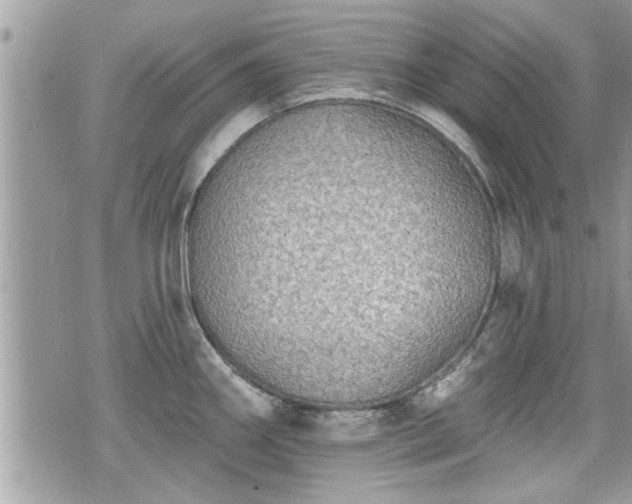 X0000070401290200606161336