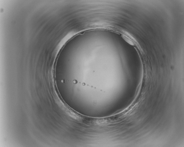 X0000070401291200606161336