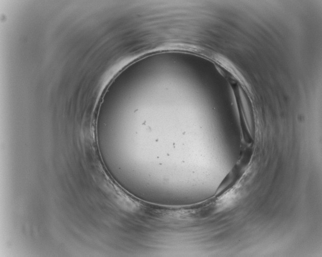 X0000070401292200606161336