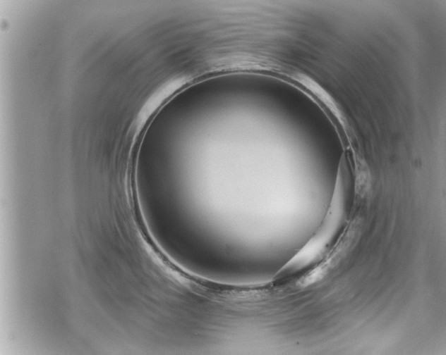 X0000070401293200606161336