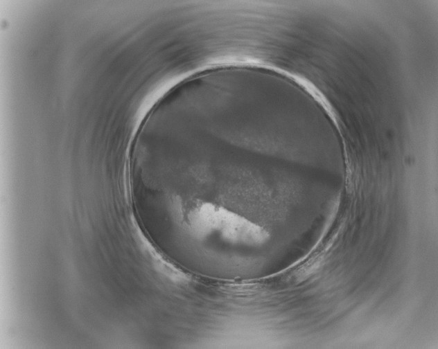 X0000070401295200606161336