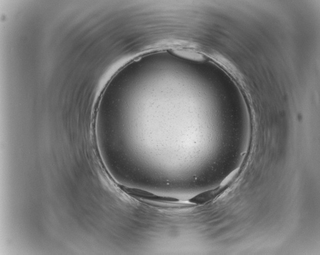 X0000070401296200606161336