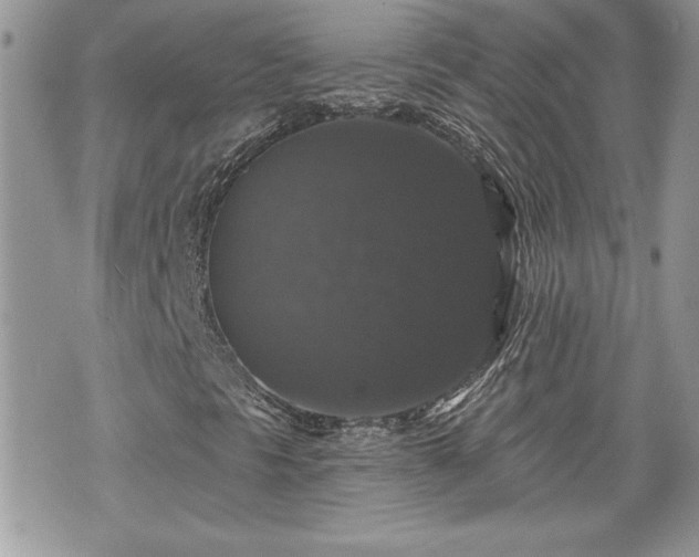 X0000070401297200606161335