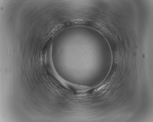 X0000070401298200606161335