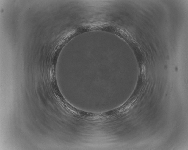 X0000070401300200606161335