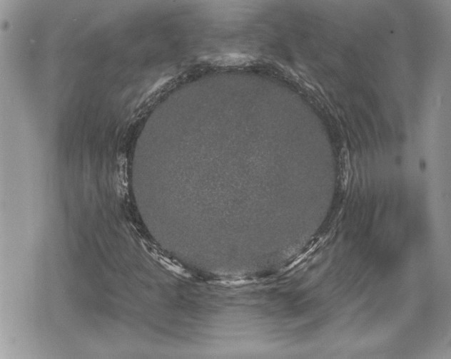 X0000070401301200606161335