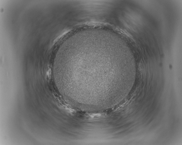 X0000070401302200606161335