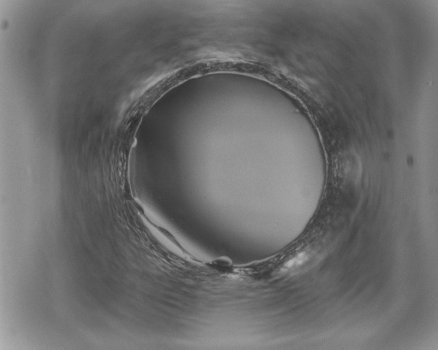 X0000070401303200606161335