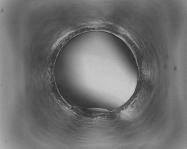 X0000070401304200606161335