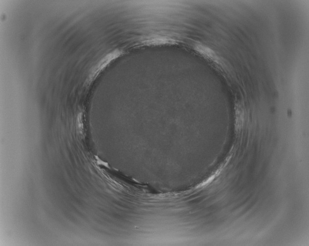 X0000070401305200606161335