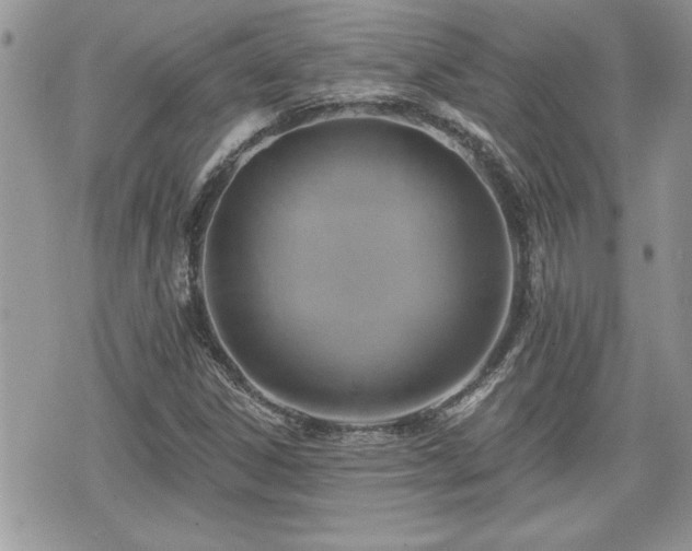 X0000070401306200606161335