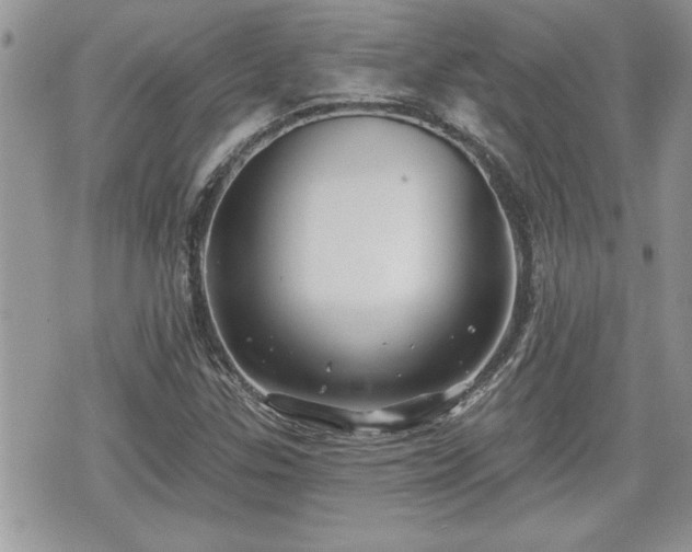 X0000070401307200606161335