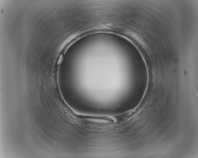 X0000070401308200606161335