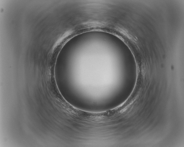 X0000070401309200606161335