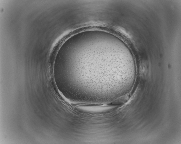 X0000070401310200606161335