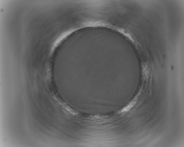 X0000070401311200606161335