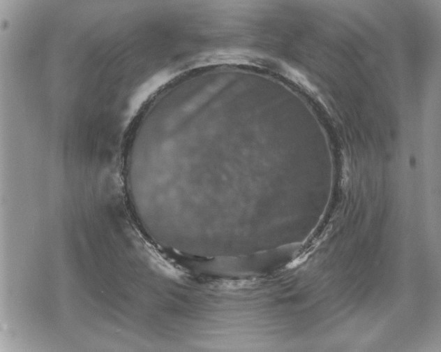 X0000070401312200606161335