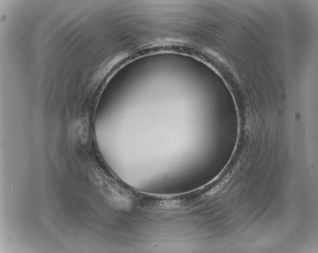 X0000070401313200606161335