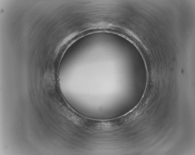 X0000070401315200606161335