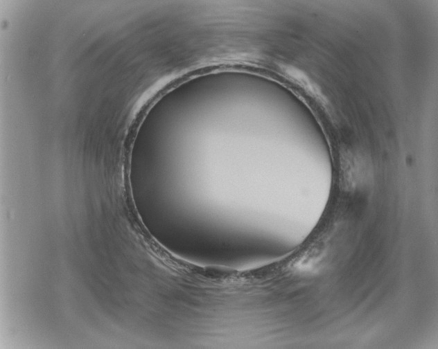 X0000070401316200606161335