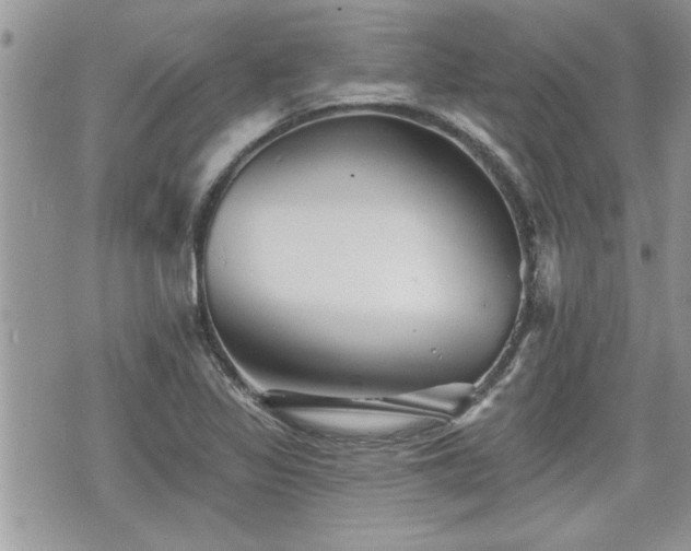 X0000070401317200606161335