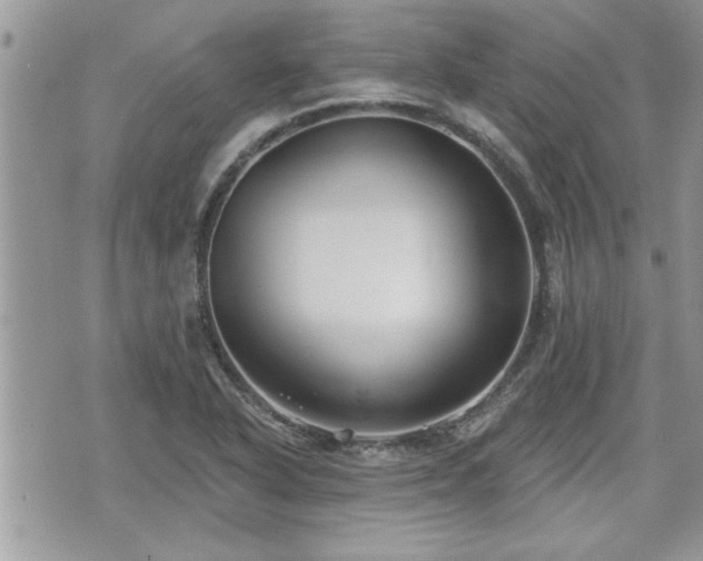 X0000070401318200606161335