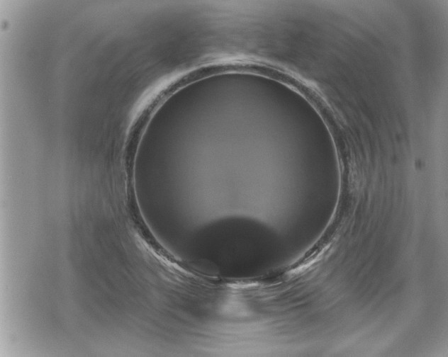 X0000070401319200606161335