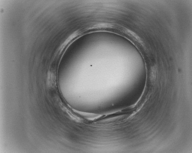 X0000070401321200606161335