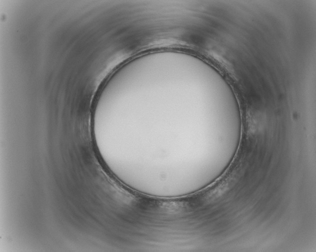 X0000070401322200606161335