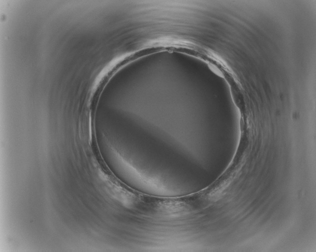 X0000070401323200606161335