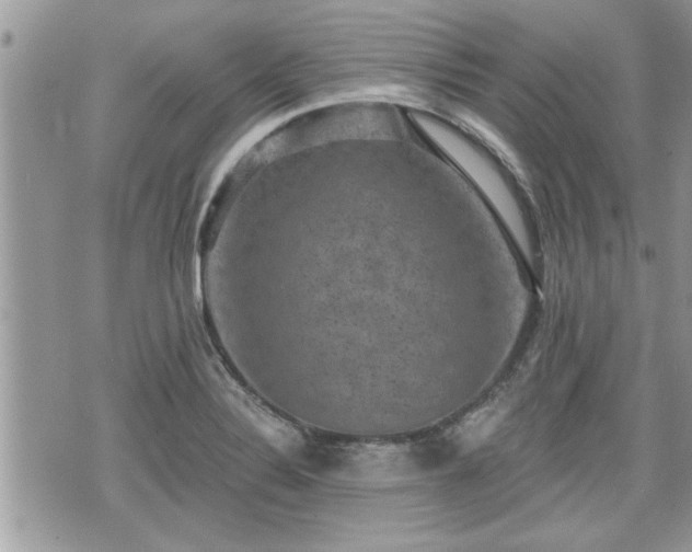 X0000070401324200606161335